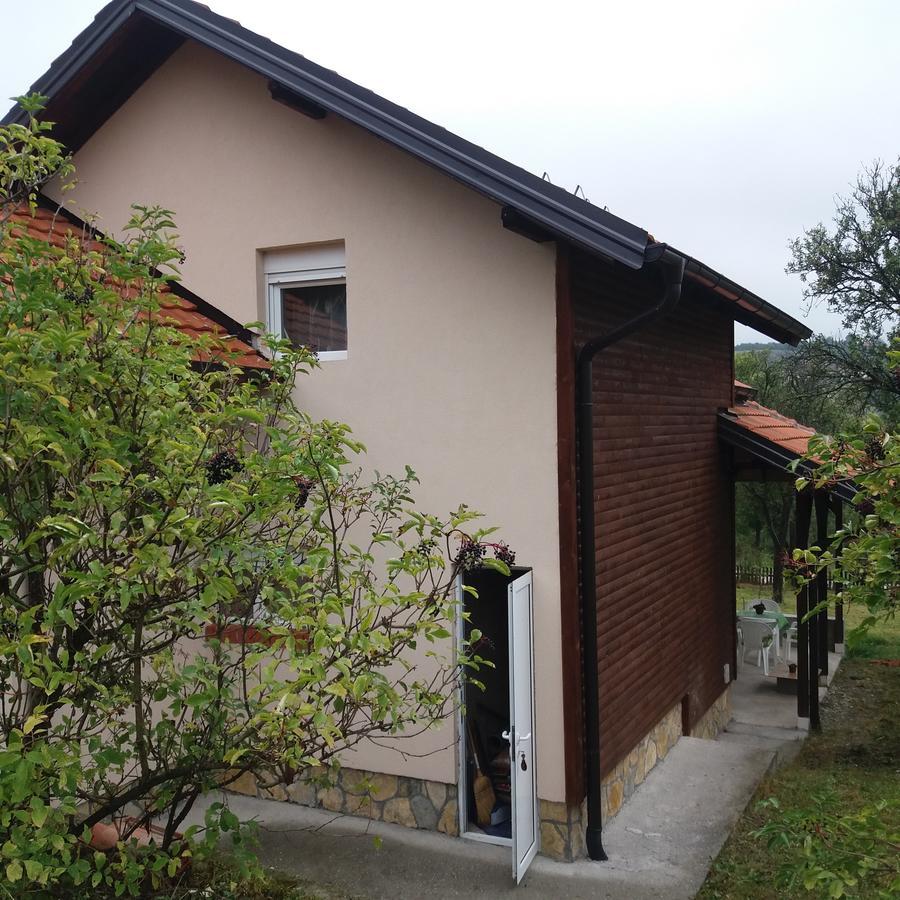 Vitas Kremna 外观 照片